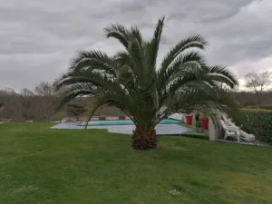 Peyri-Capéra Fabrice à Ledeuix