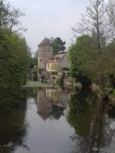 Crespeau Mickaël à Dangeau