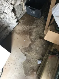 Entreprise Générale du Bâtiment Jacky Meslier SAS à Jarnac