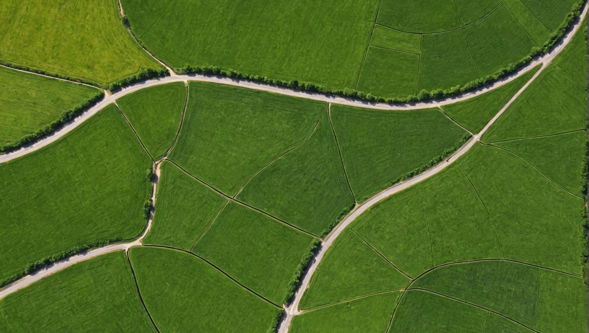 découvrez comment choisir le meilleur professionnel pour le décaissement de votre terrain grâce à nos conseils pratiques. trouvez l'expert idéal pour vos travaux de terrassement.