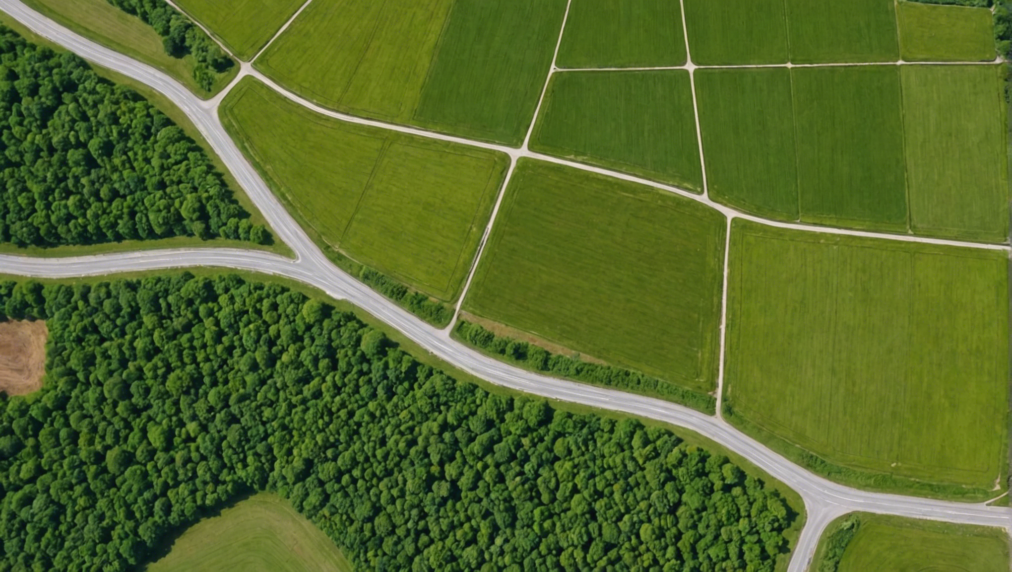découvrez le coût estimé pour le décaissement d'un terrain et trouvez la meilleure solution adaptée à vos besoins avec nos experts.