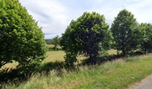 Pepin Fabrice maçonnerie à Genouilly