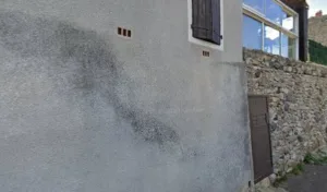SAS LELIOSA à Coux