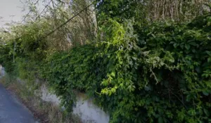 Bati Projet Habitat à Castelnau-le-Lez